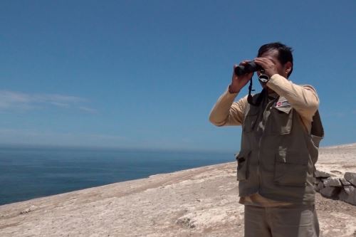 D A Del Guardaisla Peruano Guardaislas Protegen M S De Millones