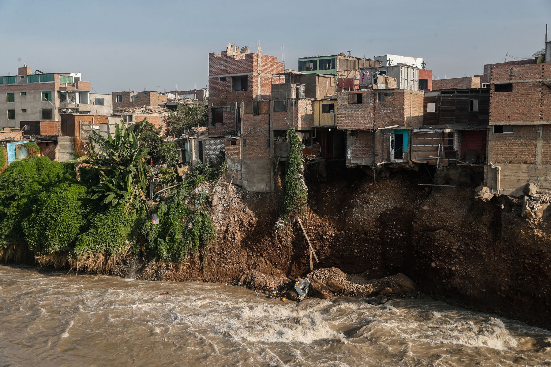 San Martín de Porres inician demolición de 24 viviendas en el borde