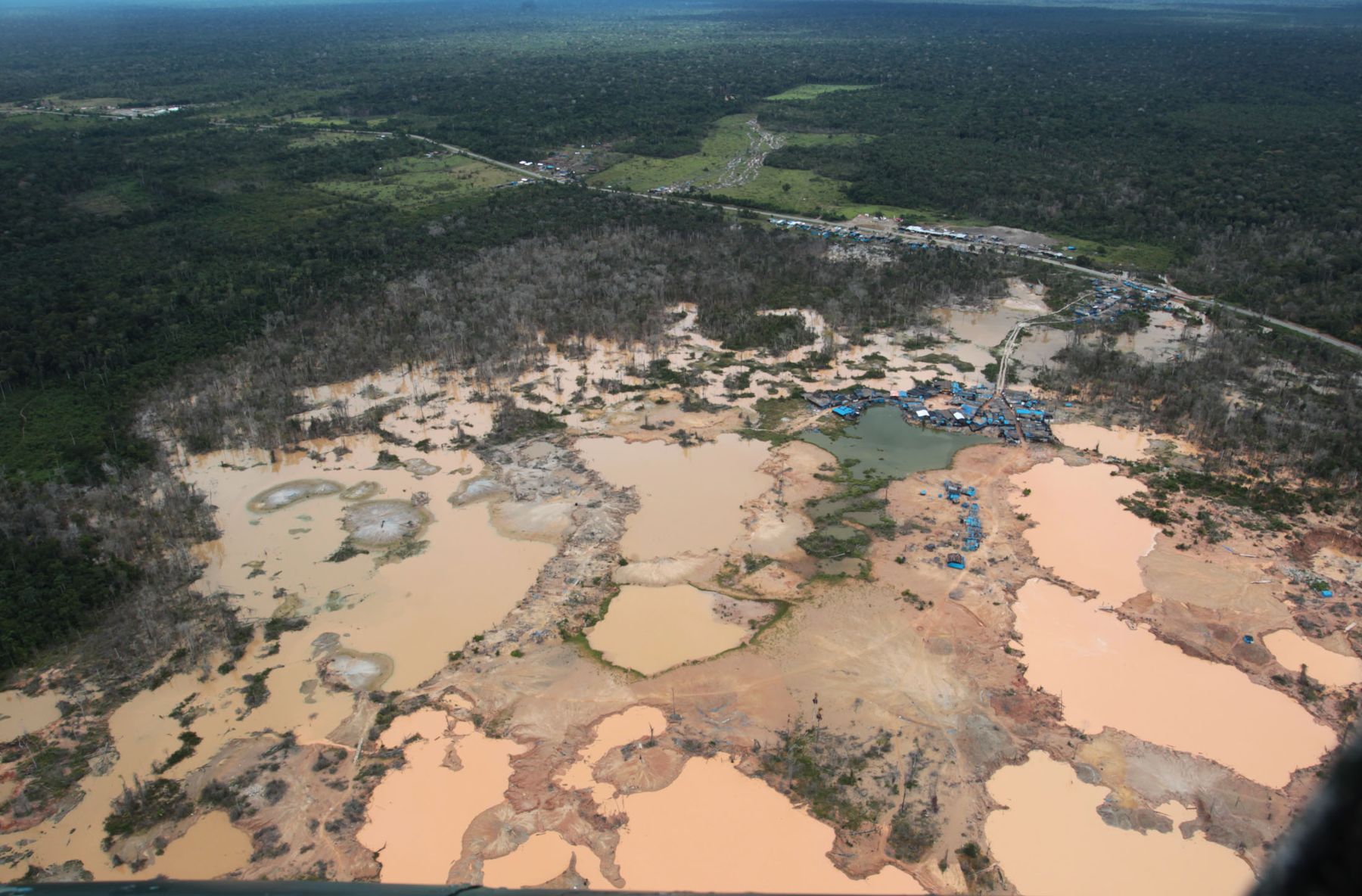 Mercurio Ha Destruido Hect Reas De Bosques En Madre De Dios