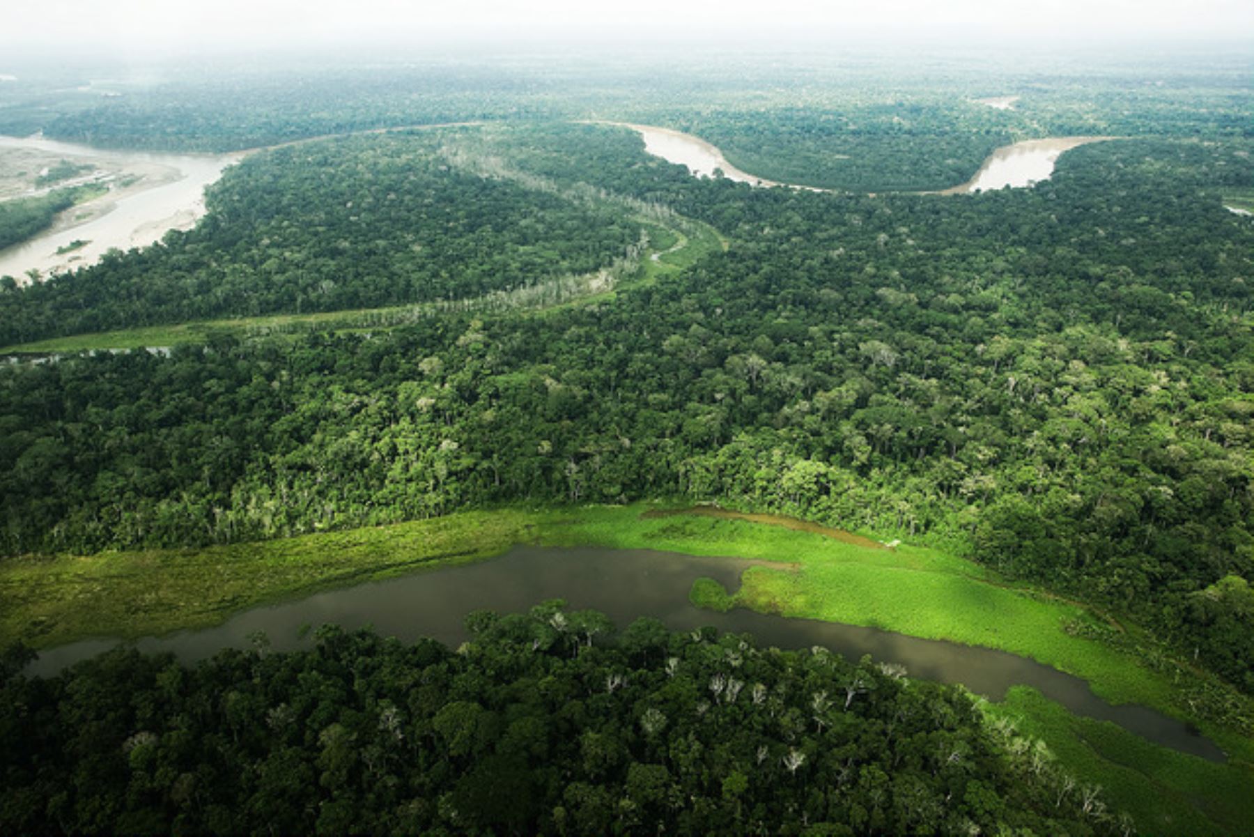 Vista de la Amazonía peruana. Cortesía