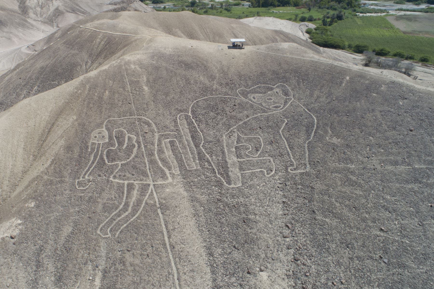 La danzante y el mono es una de las figuras halladas en el desierto de Palpa, en Ica. Foto: Genry Emerson Bautista.