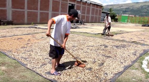 OVALO DEL CAFÉVISITA SAN - Provincia de San Ignacio