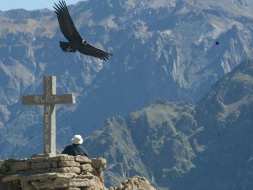 El avistamiento del cóndor es uno de los espectáculos que ofrece el valle del Colca, en Arequipa.