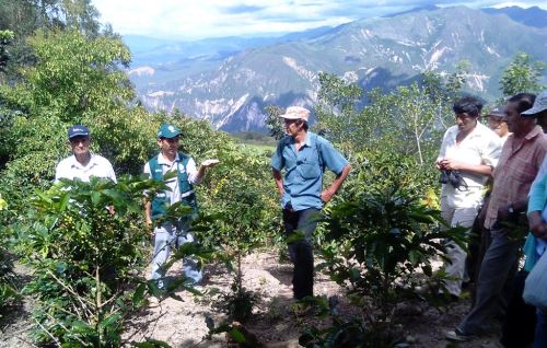 Otras regiones han experimentado beneficios de la mayor exportación de café.