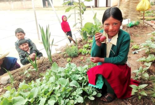 Estudiantes de Junín aprenderán sobre siembra y cultivo de hortalizas.