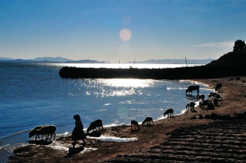 Perú y Bolivia unirán esfuerzos para luchar contra las amenazas al medio ambiente.