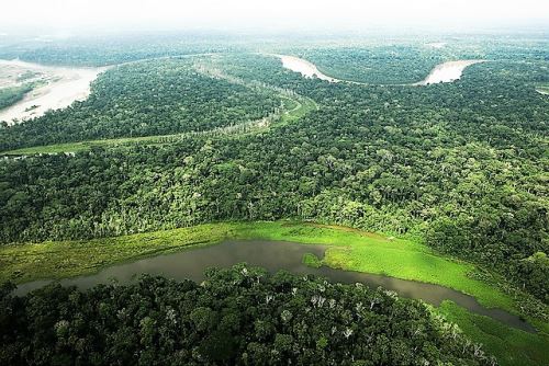 Una de las primeras metas es poner en valor la Amazonia y evitar su deforestación.