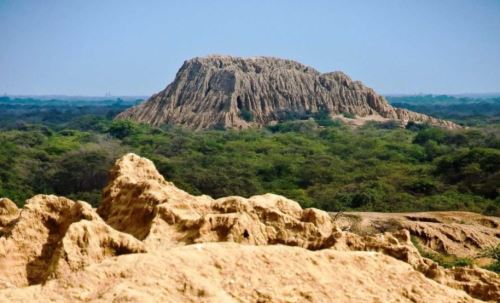 Santuario Histórico Bosque de Pómac se ubica en Ferreñafe.