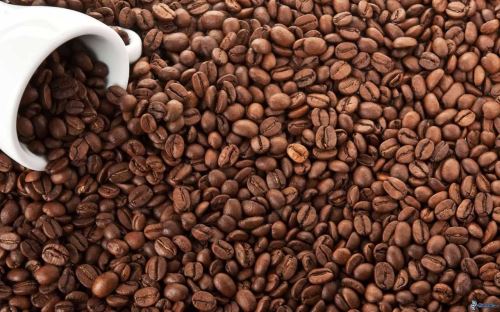 Café Especialidad Perú La selva en grano