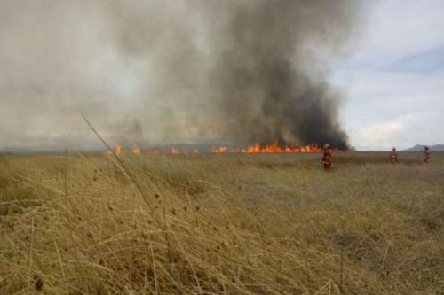 Bomberos de Lambayeque extinguieron los incendios forestales reportados en Lambayeque.