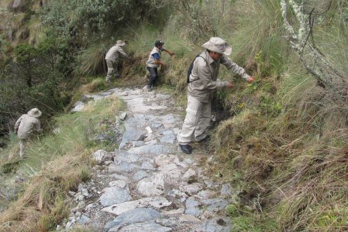 Los trabajos de mantenimiento en el Camino Inca se ejecutarán durante todo febrero.