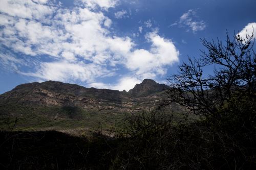La organización criminal es acusada de usurpar terrenos en la Reserva Ecológica Chaparrí.