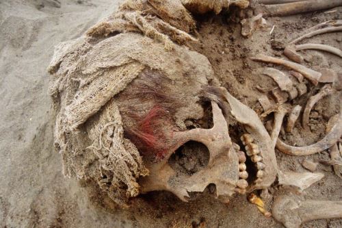 Arqueólogos investigan por qué los Chimú sacrificaron niños, el bien más preciado de la sociedad.