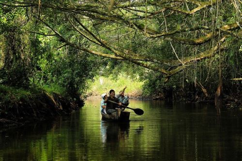 El turismo de naturaleza contribuye a la conservación de los bosques.