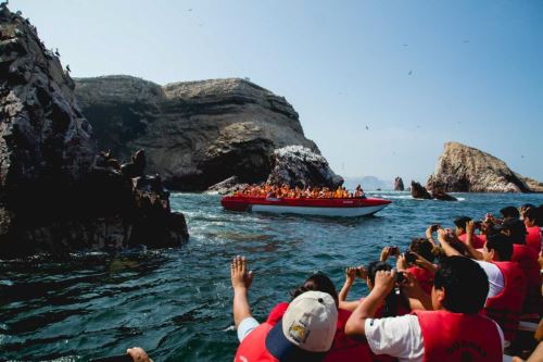 Desde Paracas se puede visitar las islas Ballestas, lugar donde habitan lobos marinos y aves guaneras.