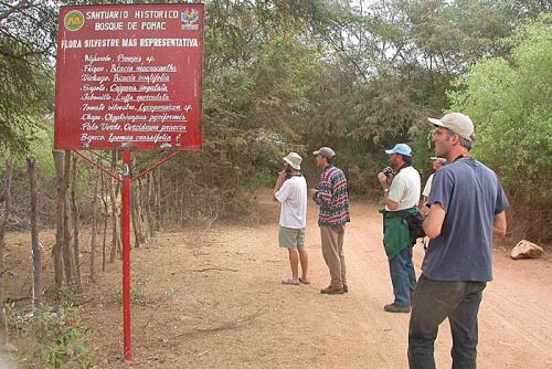 El Santuario Histórico Bosque de Pómac se consolida como destino turístico de Lambayeque.