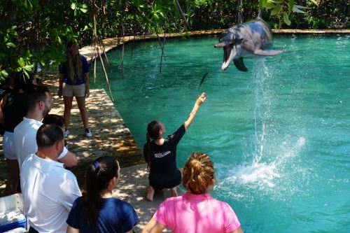 Niños invidentes juegan con un delfín en el acuario de Miami