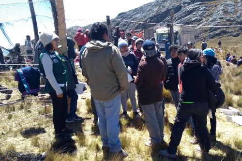 Estudiantes de la Universidad Nacional de Cajamarca realizaron exámenes a las vicuñas capturadas.