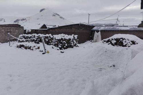 La intensa nevada afecta poblados de diversas provincias de Cusco.