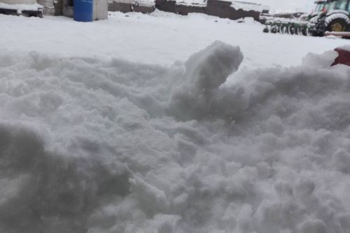 La capa de nieve llega hasta los 50 centímetros de altura.