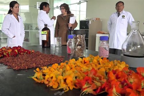 La investigación de la docente de Huancayo es financiada por Innóvate Perú.