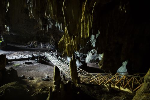 Cueva de las Lechuza es un atractivo turístico del Parque Nacional Tingo María. Foto: Promperú/Musuk Nolte