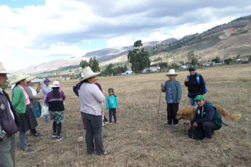 Los productores ganaderos podrán obtener mejores ingresos.