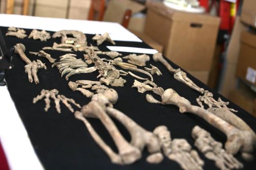 Los restos humanos fueron hallados dentro de las galerías subterráneas.