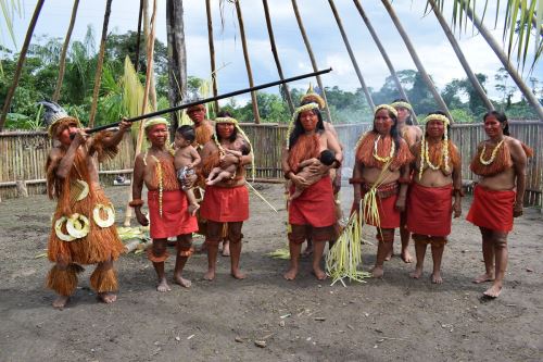 30 comunidades indígenas han recibido incentivos económicos por conservar sus bosques.