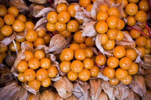 Superalimentos peruanos infaltables en la dieta escolar.