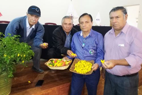Asociación de productores de ají mochero de La Libertad gestionan denominación de origen.