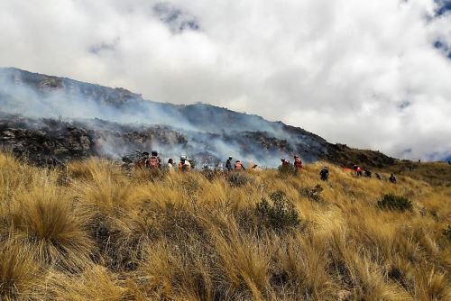 Fuego afecta pastizales en comunidad de San Pedro, en provincia de Canchis, Cusco.