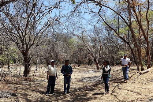 Pobladores de Cury Lagartos se comprometieron a proteger el bosque seco.