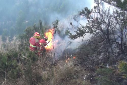 Fuego amenaza con propagarse a zonas urbanas de la comunidad de Hualhuas, en Huancayo.