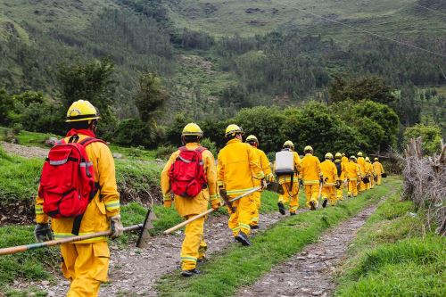 Áreas naturales protegidas por el Estado cuentan con 167 guardaparques bomberos forestales.
