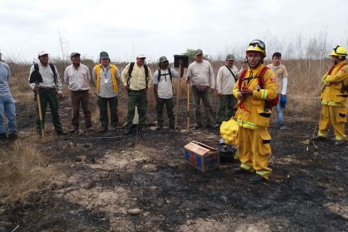 Los guardaparques son expertos en la atención de incendios forestales y cuentan con los equipos de protección necesarios.