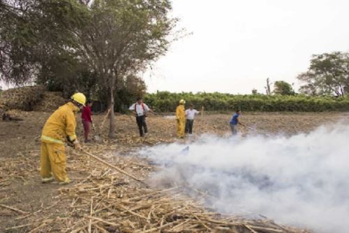 Una nueva brigada contraincendios se prepara para enfrentar siniestros en el Bosque de Pómac.