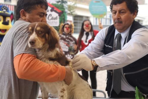 Perú ha progresado enormemente en el control de rabia canina.