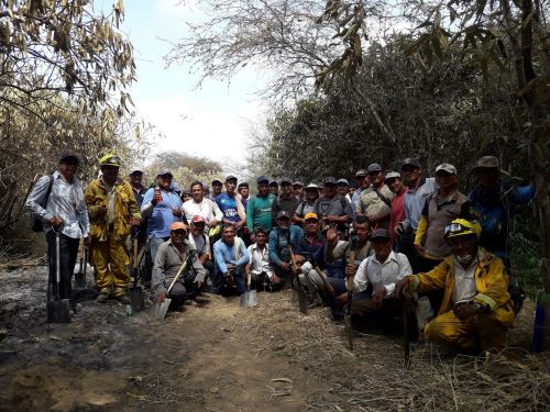 Trabajo conjunto durante 10 días permitió controlar al 100 % el incendio forestal en el Santuario Histórico Bosque de Pómac.