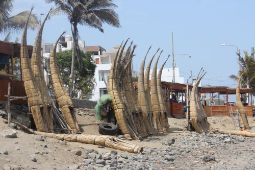 La construcción de caballitos de totora podría desaparecer por la afectación de la Reserva de Balsares de Huanchaco.