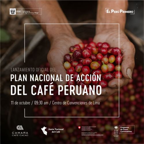 El Plan Nacional de Acción del Café es una oportunidad para generar políticas que generen empleo y combatan la deforestación.