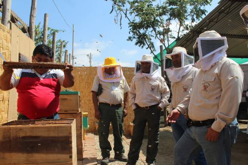 Los visitantes aprenderán a elaborar productos derivados del Santuario Histórico Bosque de Pómac, como la miel de abeja.