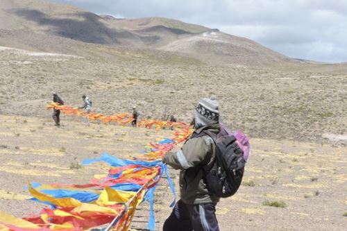 guardaparques y sus cuadrillas formaron un cordón humano para arrear a las vicuñas hacia los cercos de mallas en la comunidad campesina de Pampamarca, en la región Arequipa.