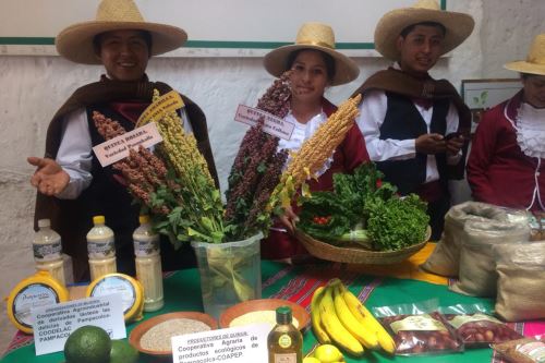 Más de 40 productores orgánicos de Arequipa participarán en el VII Festival de Productos Orgánicos “Festiorgánico”, que tendrá como escenario el parque Libertad de Expresión.