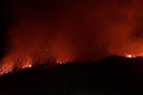 Incendio en vivero forestal de Chimbote se inició anoche, pero fue controlado varias horas despúes.