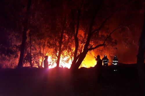 Bomberos de Chimbote investigan causas que provocaron el incendio.
