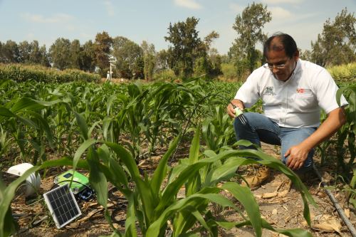 Equipos medirán humedad, riego, salinidad, temperatura del suelo y del ambiente.