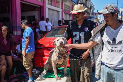 Luis López y su perro Bolillo