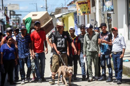 Bolillo acompaña a los migrantes hondureños