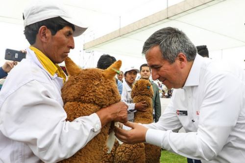 El ministro RaÃºl PÃ©rez-Reyes destacÃ³ que el PerÃº es el primer productor de fibra de alpaca en el mundo.